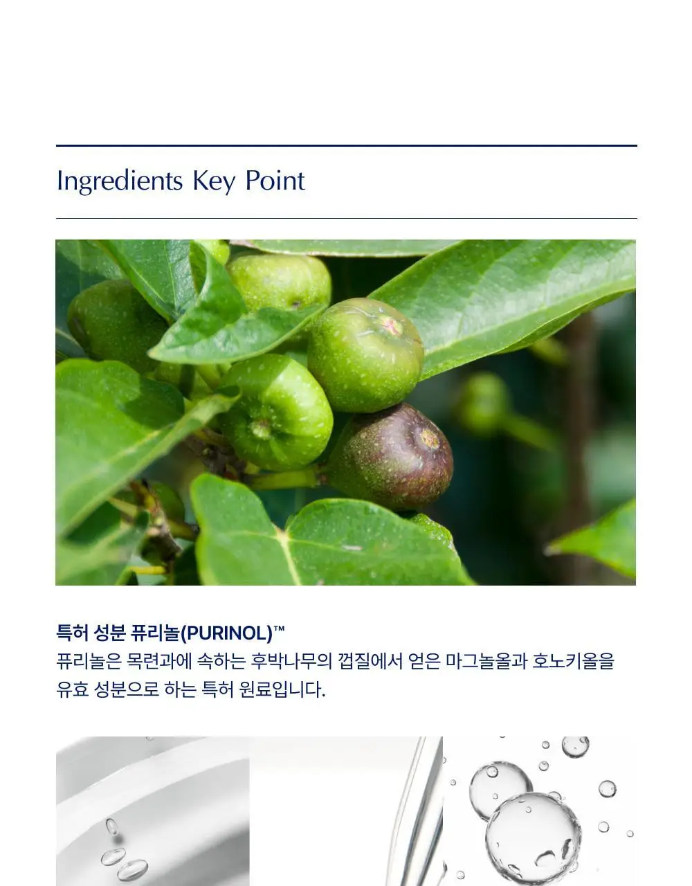 [대용량] 바이오가 등드름 바디워시 베타인살리실레이트 1000ml 기획(+바디미스트 20ml) 상세페이지 18